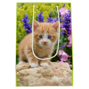 Niedlich Ginger Cat Kitten Flower Garden Geschenkv Mittlere Geschenktüte