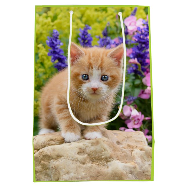 Niedlich Ginger Cat Kitten Flower Garden Geschenkv Mittlere Geschenktüte (Rückseite)