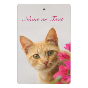 Niedlich Ginger Cat Kitten Foto Personalisiert Mini Klemmbrett