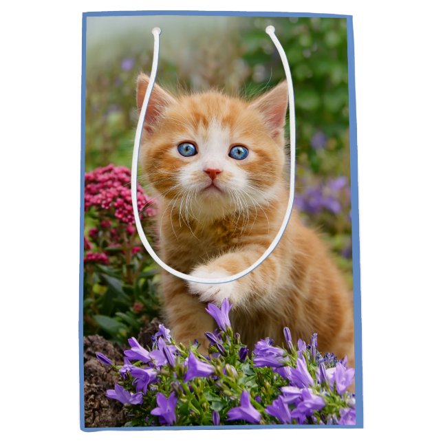 Niedlich Ginger Cat Kitten im Garden Foto Portrait Mittlere Geschenktüte (Vorderseite)