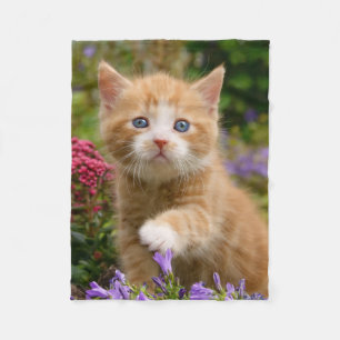 Niedlich Ginger Cat Kitten im Garden Foto - weich Fleecedecke