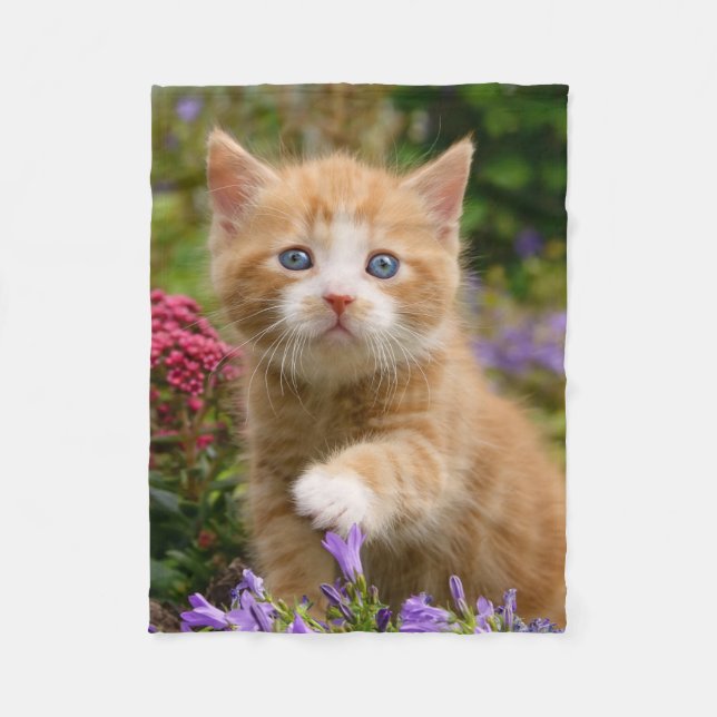 Niedlich Ginger Cat Kitten im Garden Foto - weich Fleecedecke (Vorderseite)