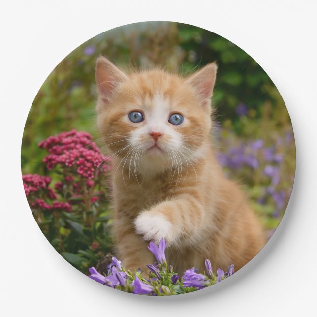 Niedlich Ginger Cat Kitten in a Garden, Happy Part Pappteller (Vorderseite)