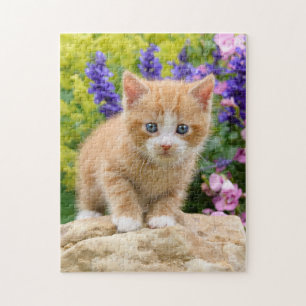 Niedlich Ginger Cat Kitten in Flower Garden _ Game Puzzle