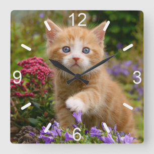 Niedlich Ginger Cat Kitten in Garden Foto Wählsche Quadratische Wanduhr