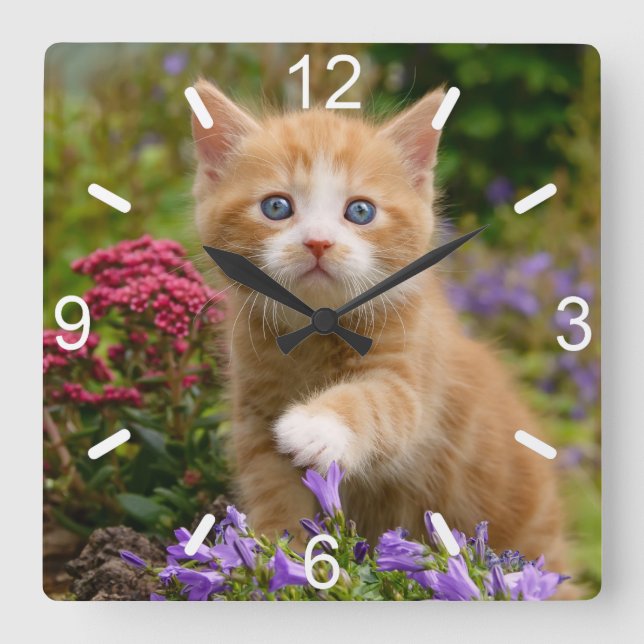 Niedlich Ginger Cat Kitten in Garden Foto Wählsche Quadratische Wanduhr (Vorderseite)