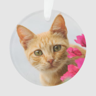 Niedlich Ginger Cat Kitten Rund um Acryl Ornament