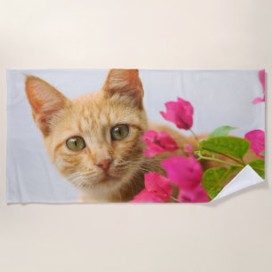 Niedlich Ginger Cat Kitten Watching Eyes Head Foto Strandtuch