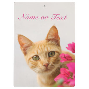 Niedlich Ginger Cat Kitten Watching - Personalisie Klemmbrett
