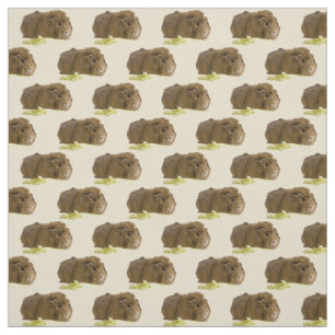 Niedlich Ginger Guinea Pig Eating Celery Fotografi Stoff