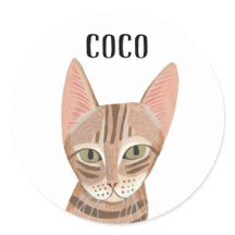 Niedlich Ginger Illustriert Cat