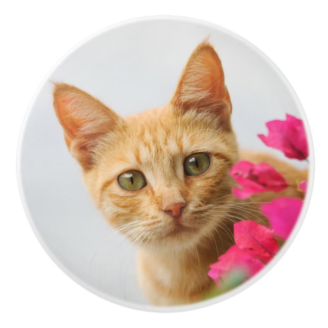 Niedlich Ginger Kitten, die Sie beobachten, dekora Keramikknauf (Vorderseite)