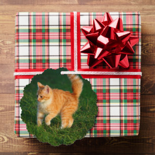 Niedlich Ginger Kitten Foto Ornament Karte