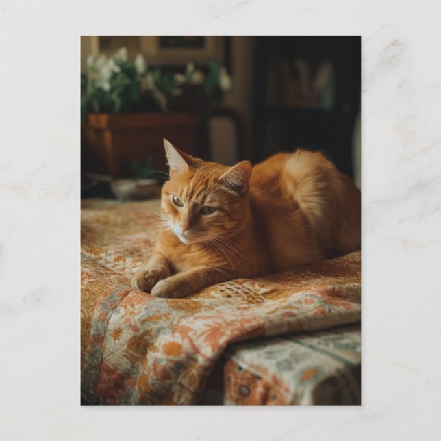 Niedlich Ginger Kitty Postcard Postkarte (Vorderseite)