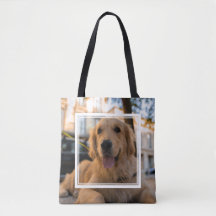 Niedlich Golden Retriever