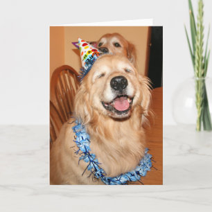 Niedlich Golden Retriever Birthday Wünsche Karte