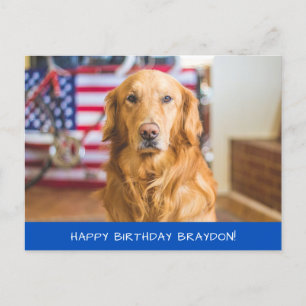 Niedlich Golden Retriever Dog Postkarte