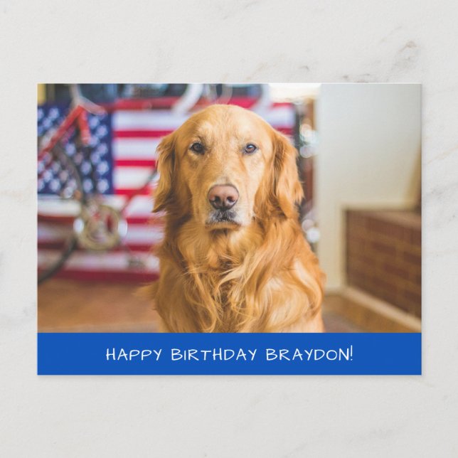 Niedlich Golden Retriever Dog Postkarte (Vorderseite)