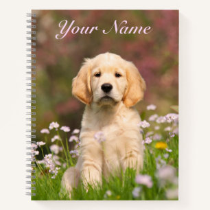 Niedlich Golden Retriever Doppy Face Animal - Name Notizbuch