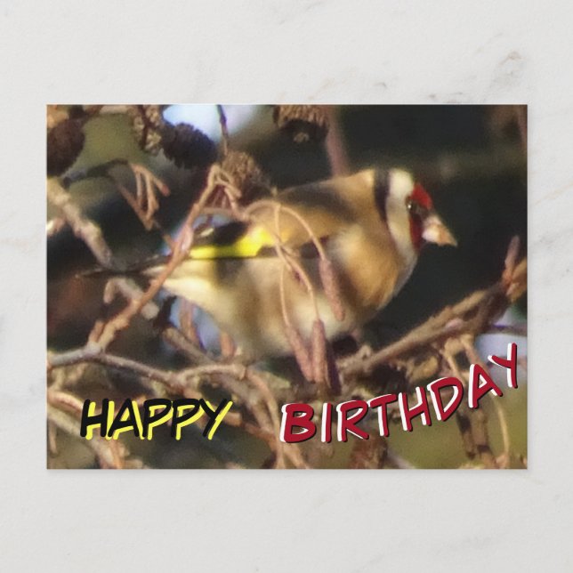 Niedlich Goldfinch Nah Up Happy Birthday Postcard Postkarte (Vorderseite)