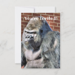 NIEDLICH GORILLA ANKÜNDIGUNG