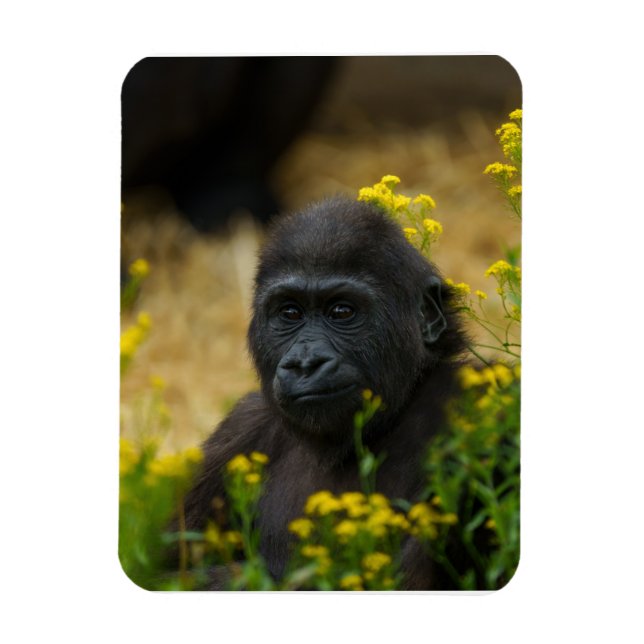 Niedlich Gorilla Baby Magnet (Vertikal)