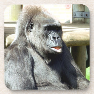 NIEDLICH GORILLA GETRÄNKEUNTERSETZER