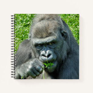 NIEDLICH GORILLA NOTIZBUCH