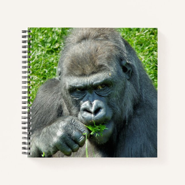 NIEDLICH GORILLA NOTIZBUCH (Vorderseite)