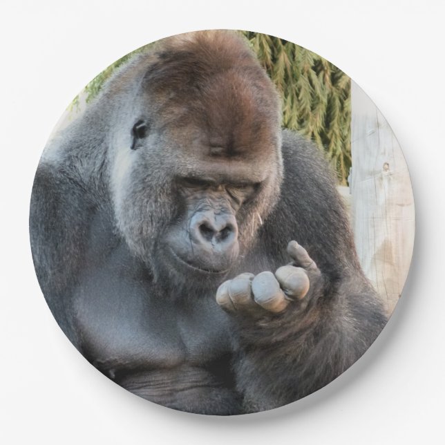NIEDLICH GORILLA PAPPTELLER (Vorderseite)