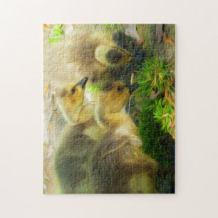 Niedlich Gosling Puzzle