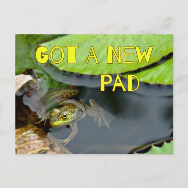 Niedlich Got ein neuer Pad Frog Änderung der Adres Ankündigungspostkarte (Vorderseite)