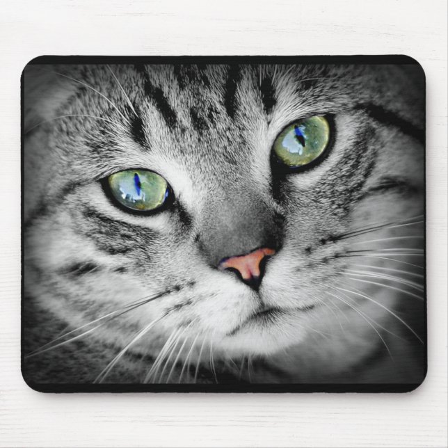 Niedlich Grau Kitty Cat Face Mouse Pad Mousepad (Vorne)