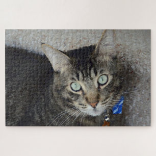 Niedlich Graue Tabby Kat Grüne Augen Elegant Puzzle