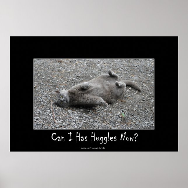 Niedlich Gray Cat Funny Huggles Poster (Vorne)