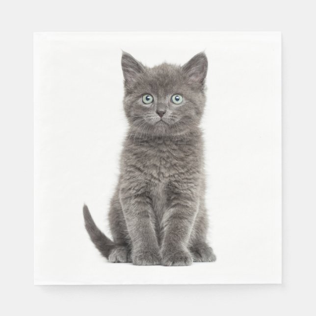 Niedlich Gray Kitten Gray Kitty Cat Party Napkins Serviette (Vorderseite)