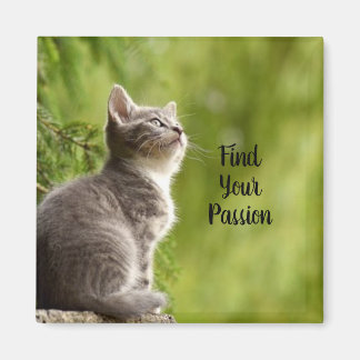 Niedlich Gray Kitten Magnet