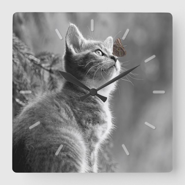 Niedlich Gray Kitten mit Butterfly on Nose Quadratische Wanduhr (Vorderseite)