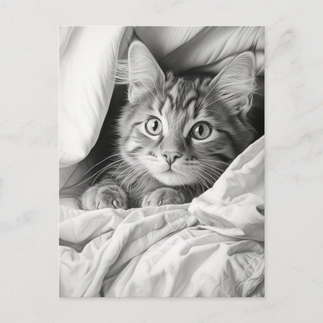 Niedlich Gray Tabby Cat Postkarte (Vorderseite)