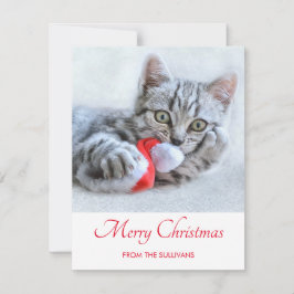 Niedlich Grey Tabby Cat Weihnachtsfeiertag Xmas Feiertagskarte
