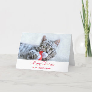 Niedlich Grey Tabby Cat Weihnachtsfeiertag Xmas Karte