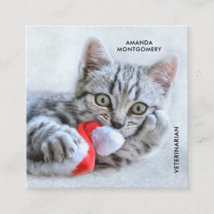 Niedlich Grey Tabby Cat Weihnachtsfeiertag Xmas Quadratische Visitenkarte