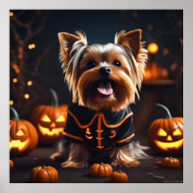 Niedlich Halloween Yorkshire Terrier Puppy Dog Pum
