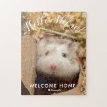 Niedlich Hamster Hello There Welcome Zuhause
