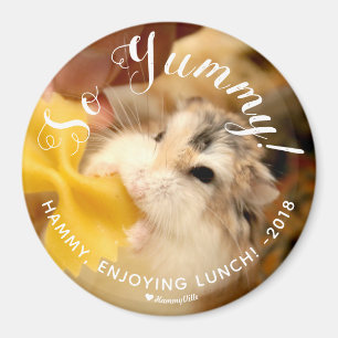 Niedlich Hamster So Yummy Magnet