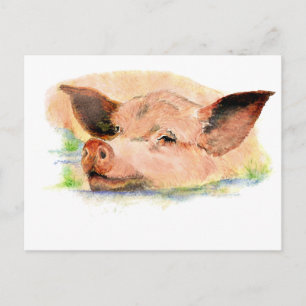 Niedlich Happy as a Pig in Mud, Farm Animal, Spaß Postkarte