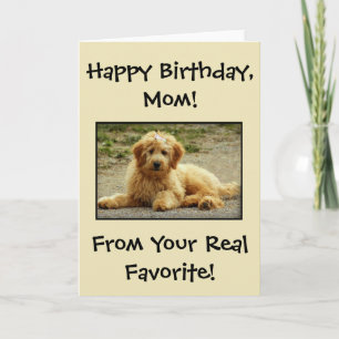 Niedlich Happy Birthday Card aus dem Hund-Foto Dankeskarte