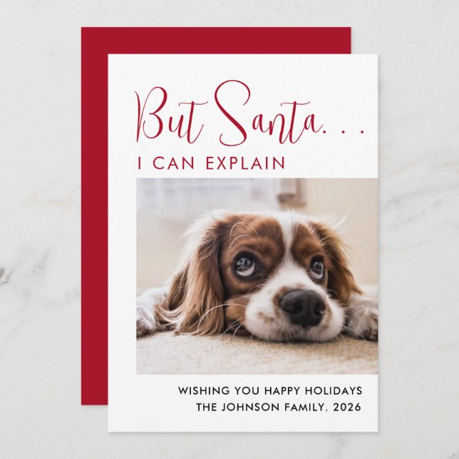 Niedlich Happy Holidays Pet Foto Feiertagskarte (Vorne/Hinten)