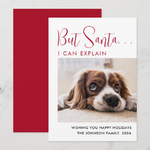 Niedlich Happy Holidays Pet Foto Feiertagskarte