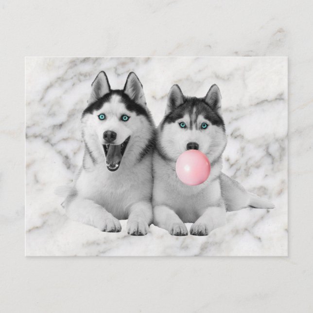 Niedlich Happy Siberian Husky Hunde blasen Blubble Postkarte (Vorderseite)